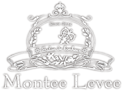 Montee Levee